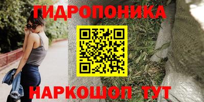 прущие грибы Кулебаки