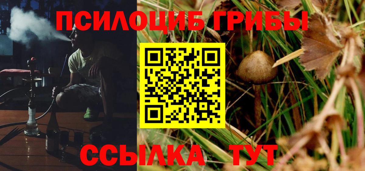 Кашира  магазин продажи   Вход с VPN  Галлюциногенные грибы прущие грибы 